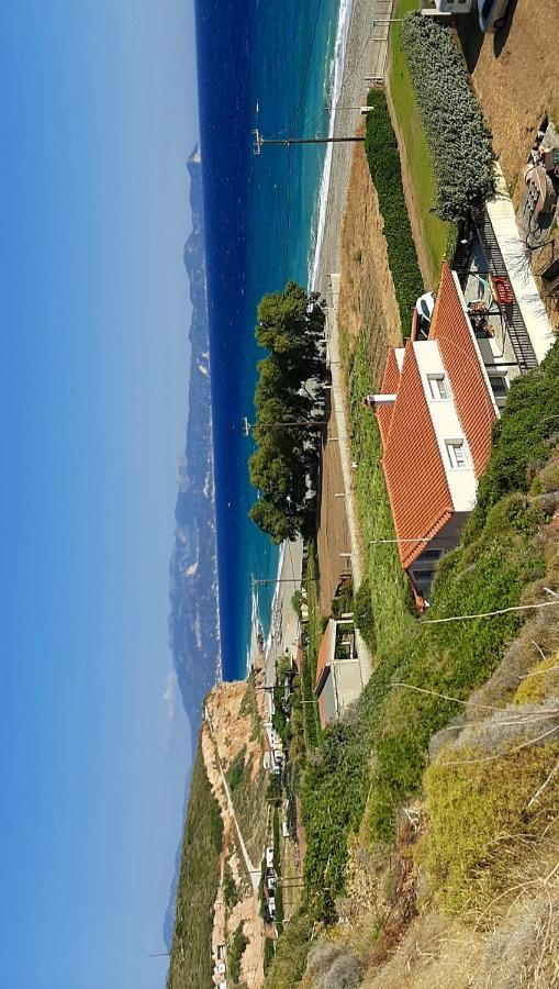 Villa Dimitra Mourteri Eksteriør bilde